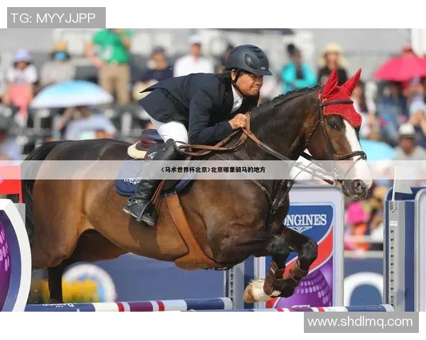 奥运会裁判主观评分公正性与舆情分析研究模型构建